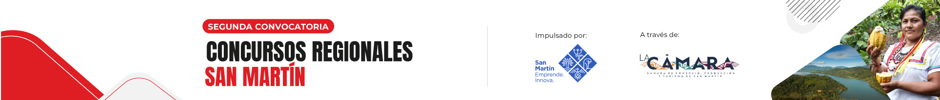 banner_san martin